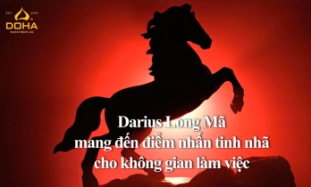 LONG MÃ & ĐIỂM NHẤN KHÔNG GIAN LÀM VIỆC